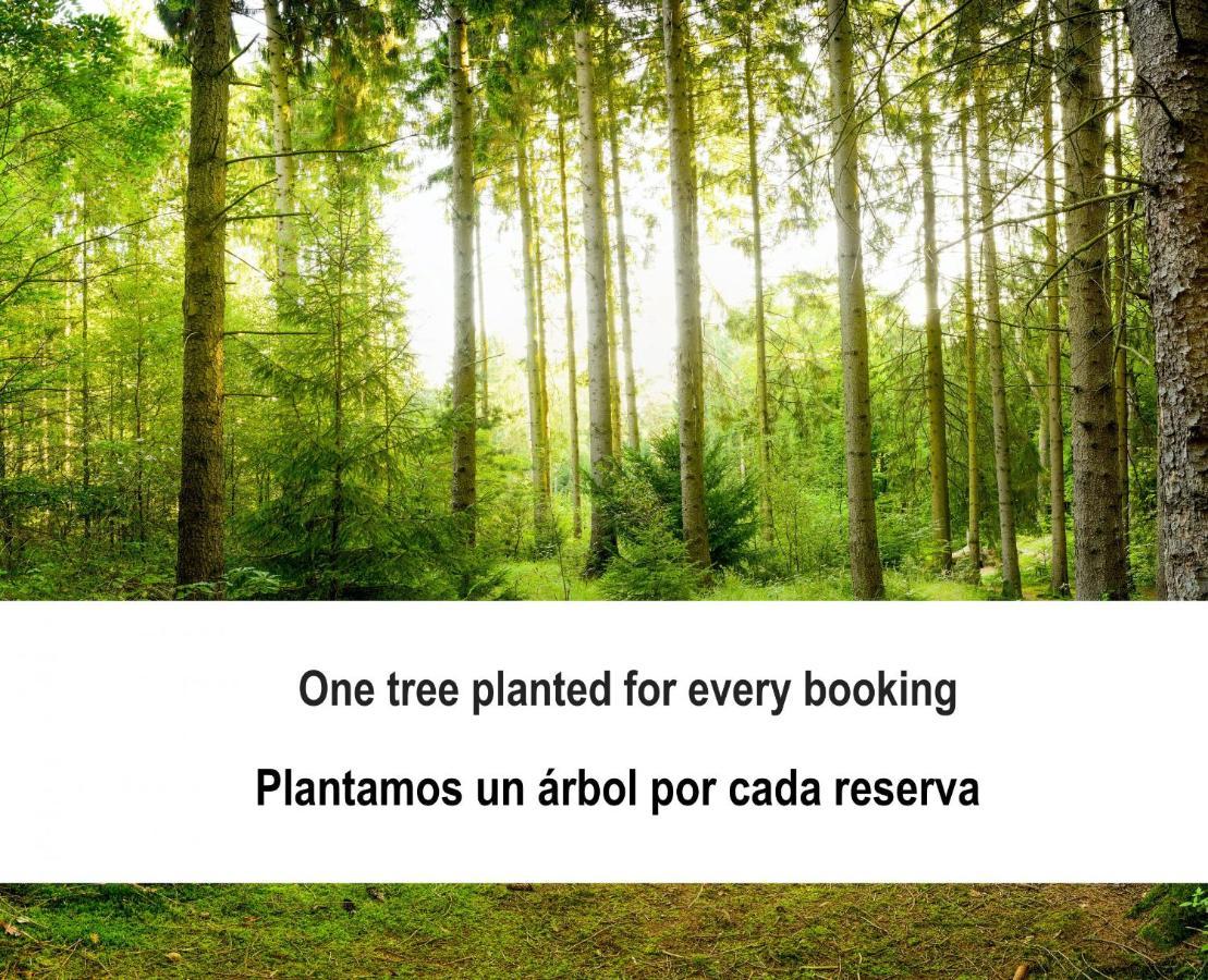 Gran A Touza Holiday home Ourense
